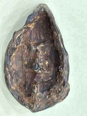Fashionable Everyday Agarwood Pendant High Grade Lobster Claw / Hook Clasp