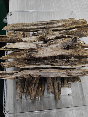 Under Water Oud Chunks From Pure Oud China Strong Sweet Smell