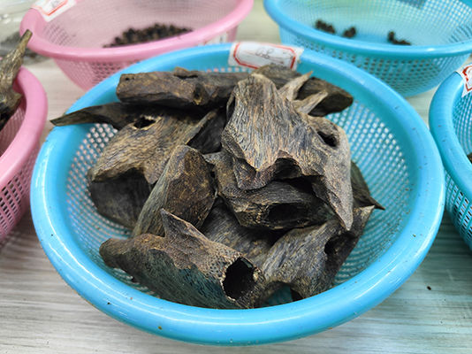 Aromatherapy Agarwood Timber Wood The Ultimate Woody Fragrance Experience