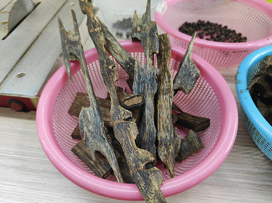Aromatherapy Agarwood Timber Wood The Ultimate Woody Fragrance Experience