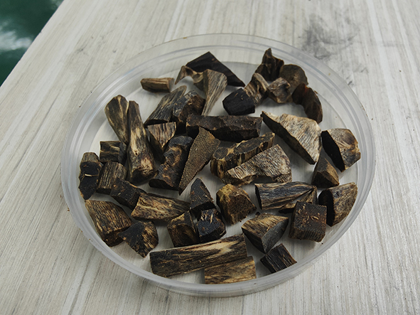 Aromatherapy Agarwood Timber Wood The Ultimate Woody Fragrance Experience