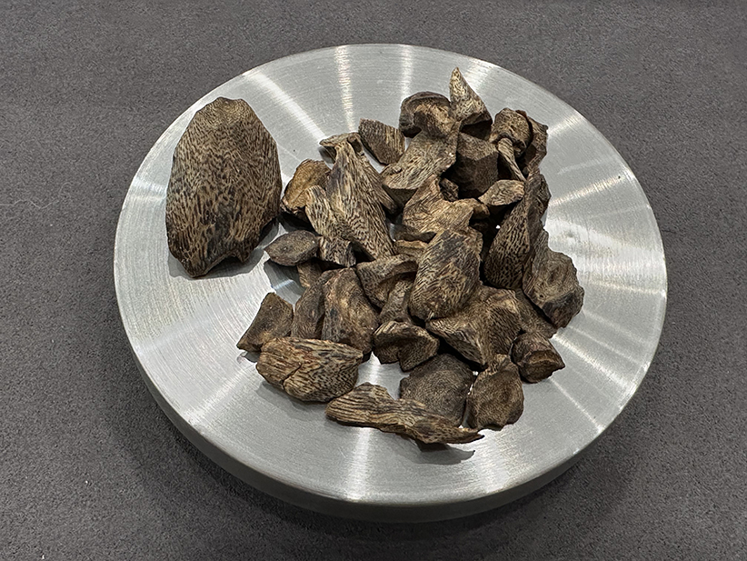 Medium Scent Strength Raw Agarwood Logs Fragrance Notes Sandalwood For Aromatherapy