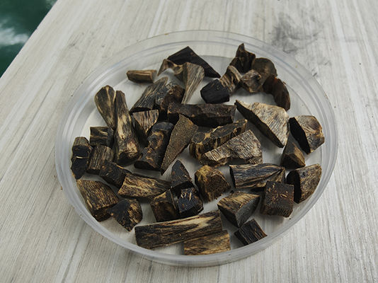 Harga yang bagus Aromaterapi Kayu Gaharu Kayu Gelondongan Pengalaman Aroma Kayu Terbaik on line